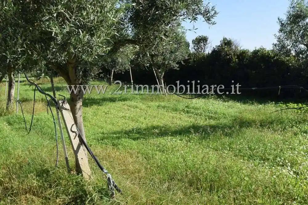 Villa unifamiliare via Farfantazzo, Quarara, Costa Orientale, Mazara del Vallo - foto 5