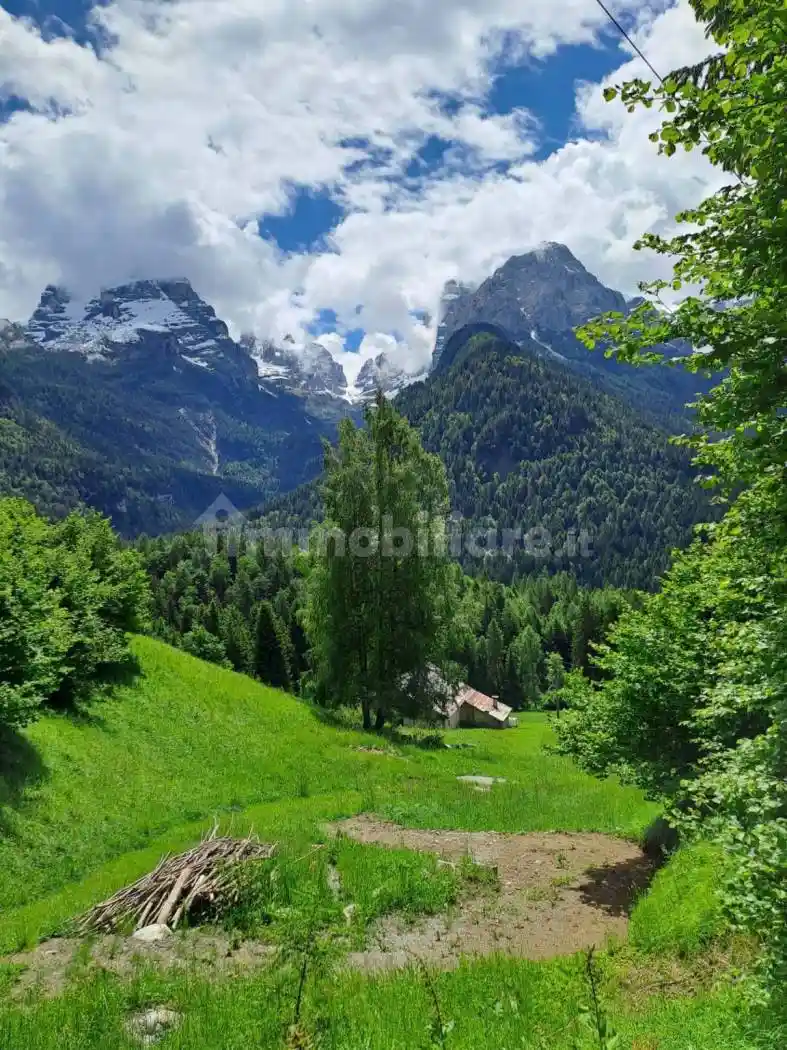 Rustico - Casale in vendita a Pinzolo