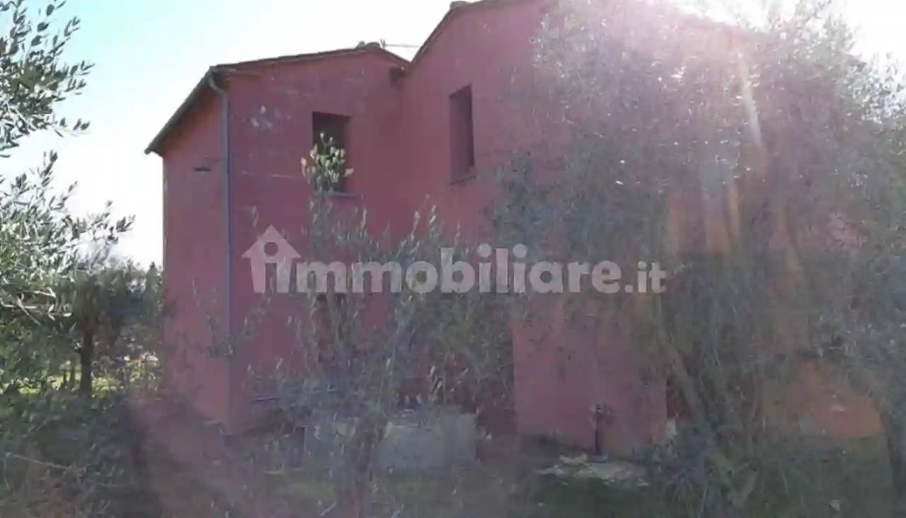 Palazzo - Edificio - foto 3