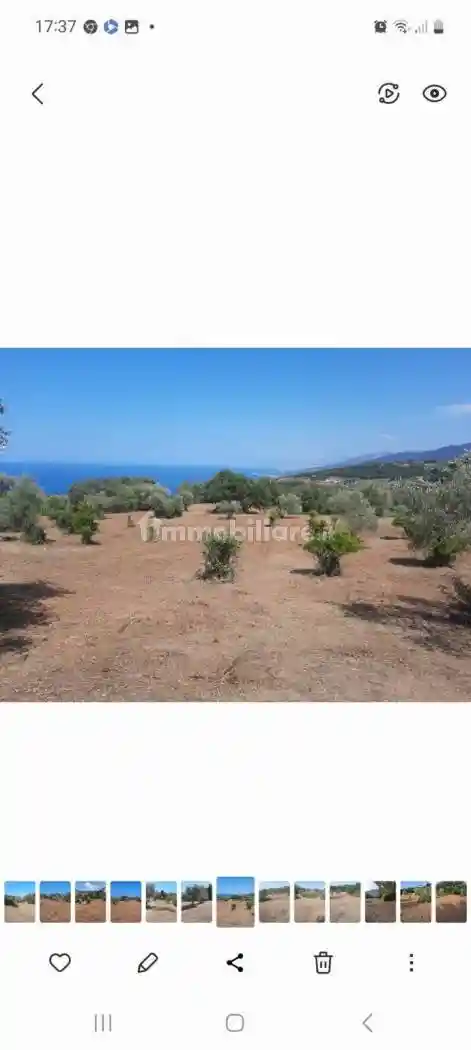 Palazzo - Edificio in vendita a Caronia