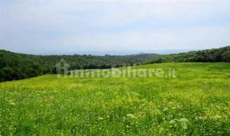 Rustico - Casale in vendita a Castellina Marittima