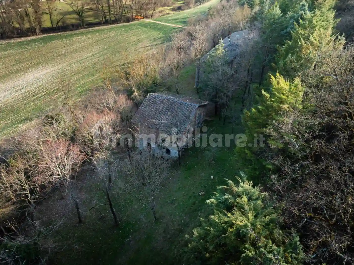 Rustico - Casale - foto 4