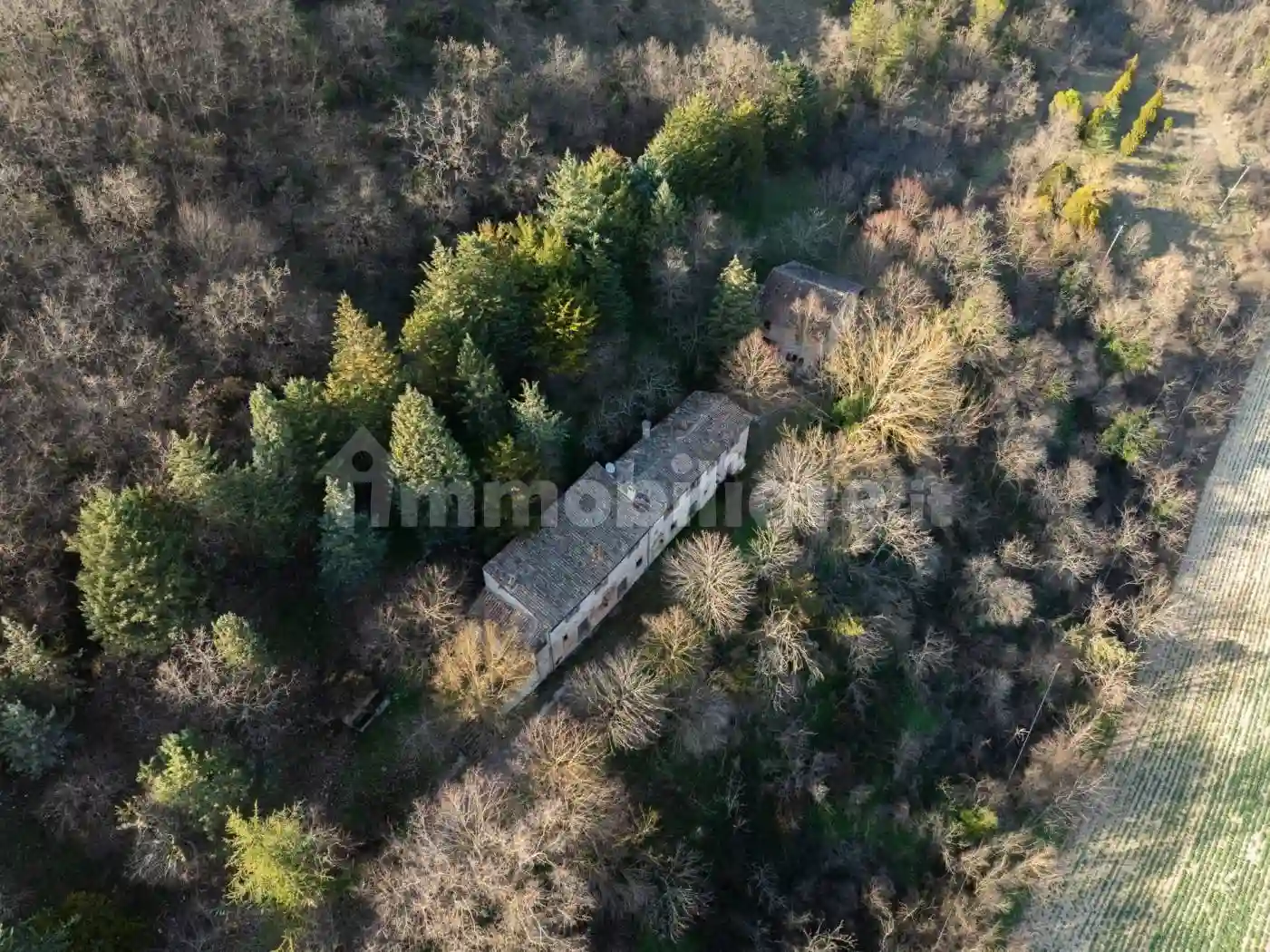 Rustico - Casale - foto 5