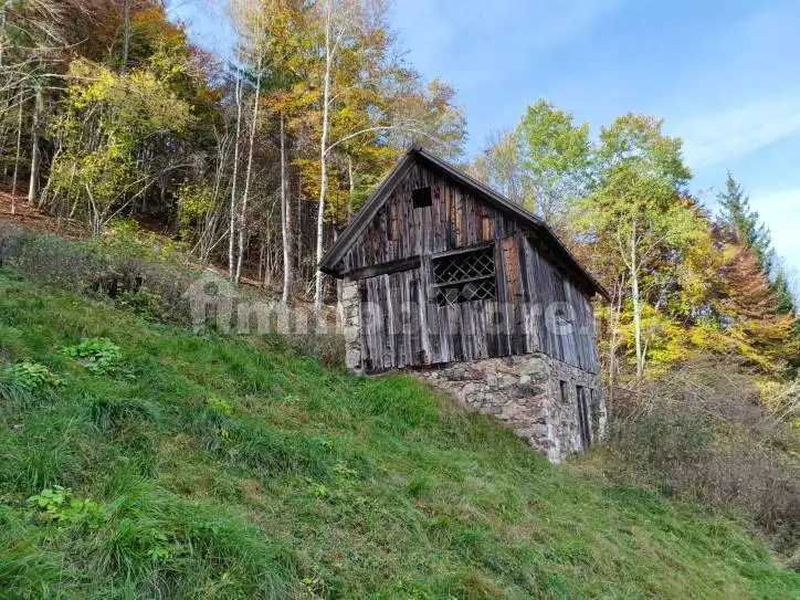 Rustico - Casale in vendita a Rigolato