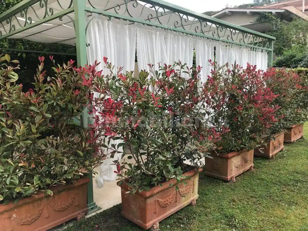 Appartamento in affitto a Forte dei Marmi