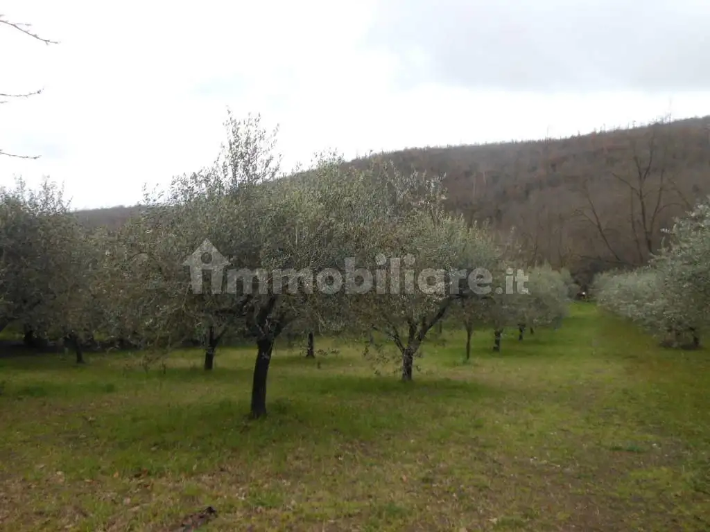 Terratetto unifamiliare via San Marco, Conca della Campania - foto 5