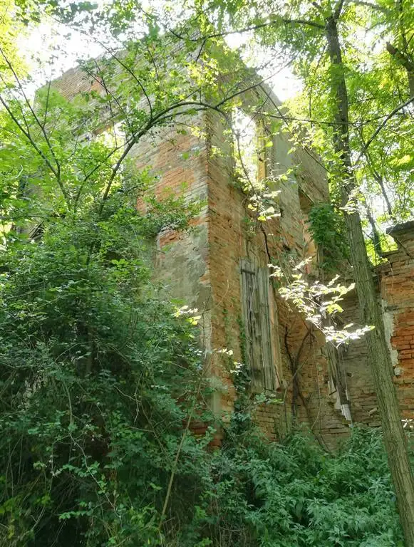 Rustico - Casale in vendita a Valsamoggia