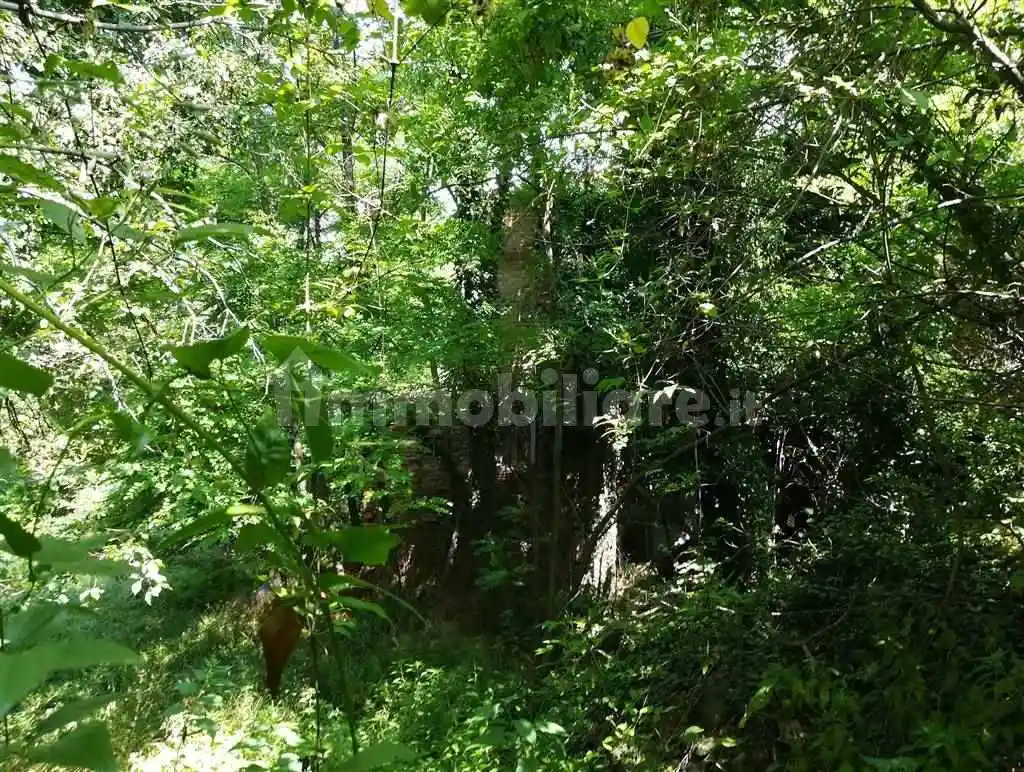 Rustico, da ristrutturare, 540 m², Cà Bianca, Valsamoggia - foto 4