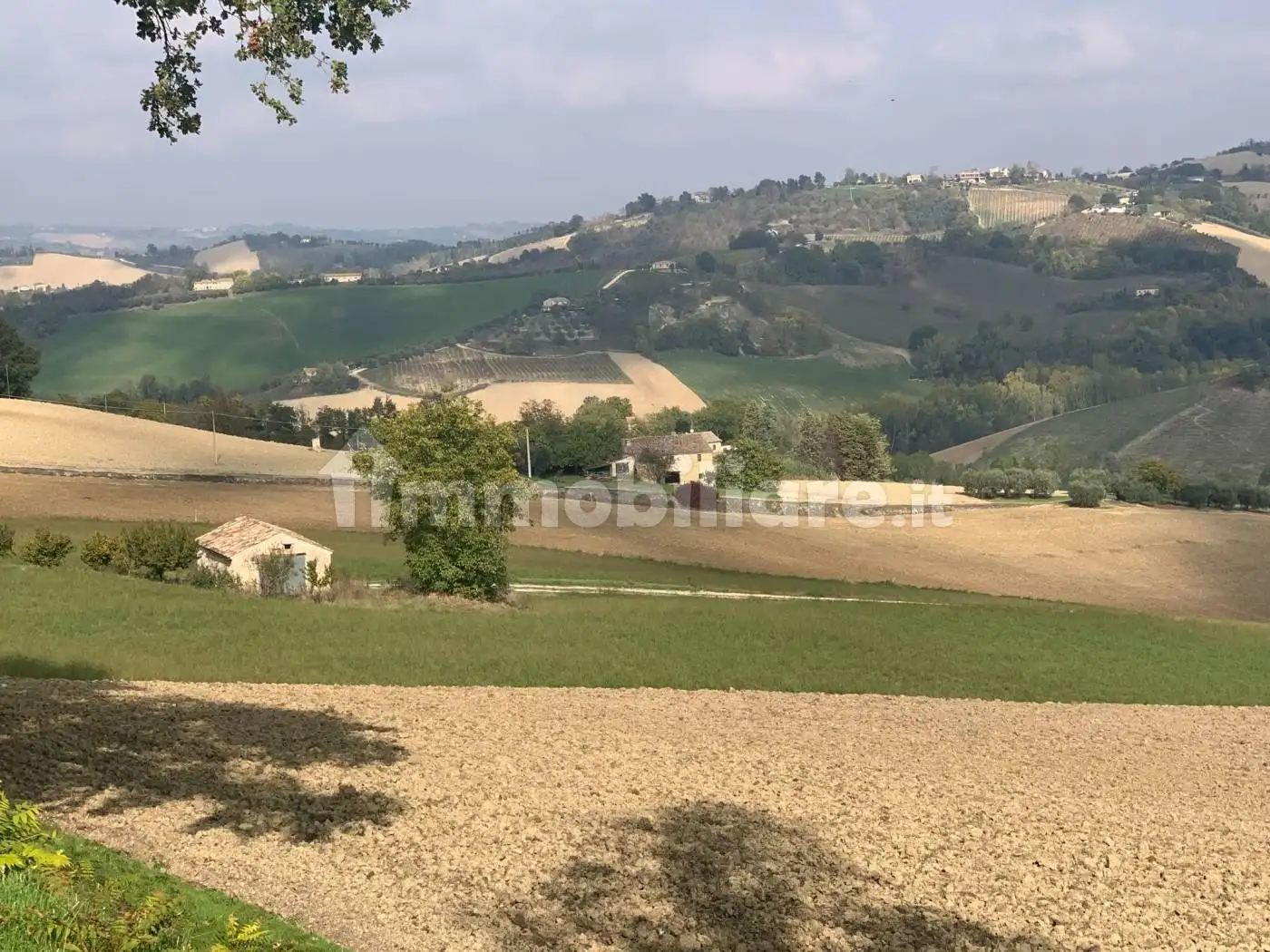 Rustico - Casale in vendita a Monte Vidon Combatte