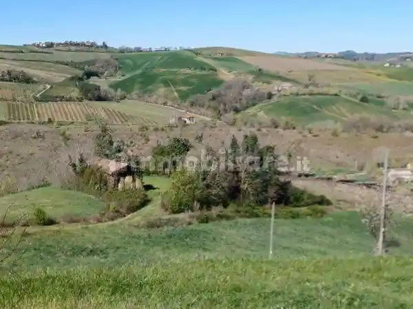 Rustico - Casale in vendita a Brisighella