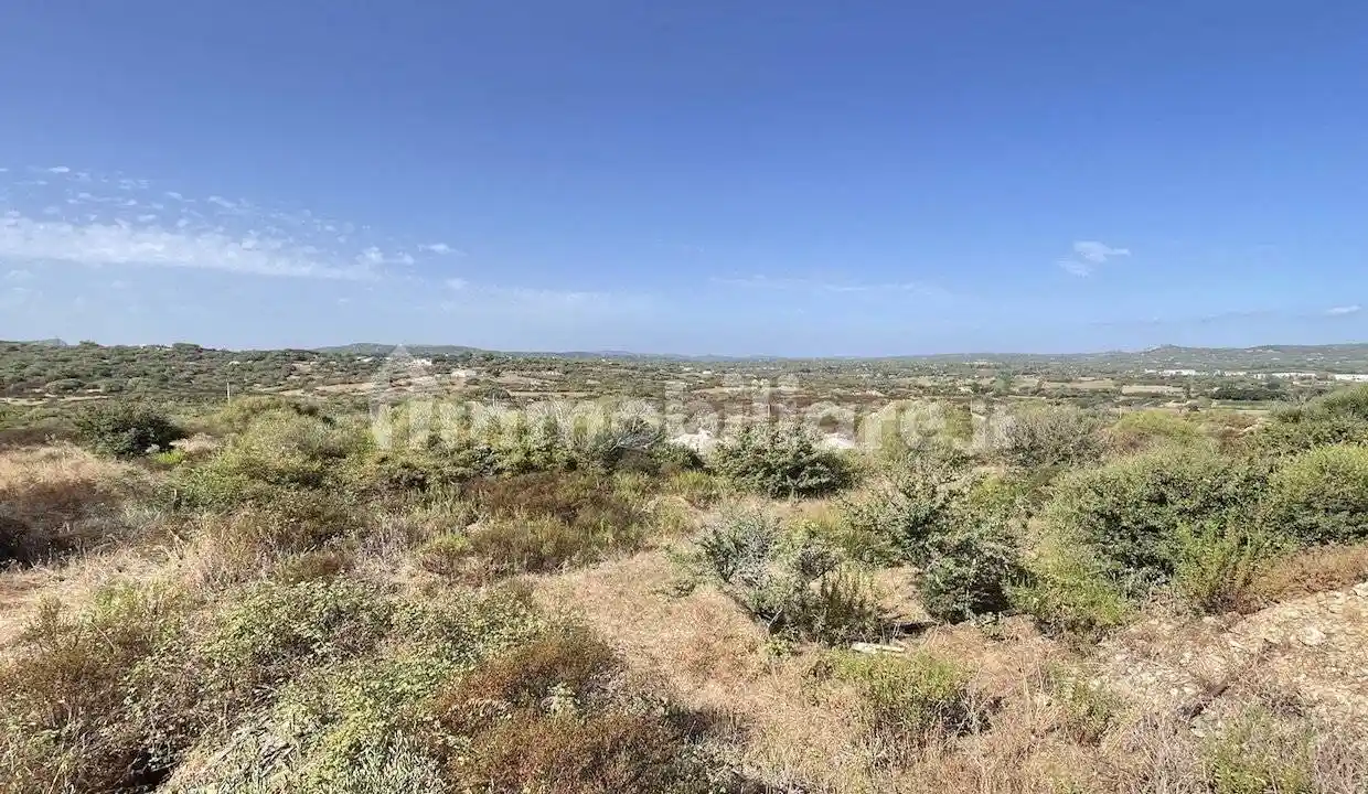 Rustico - Casale in vendita a Arzachena