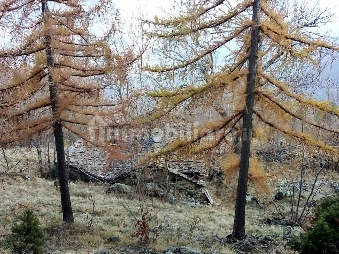 Rustico - Casale in vendita a Issogne