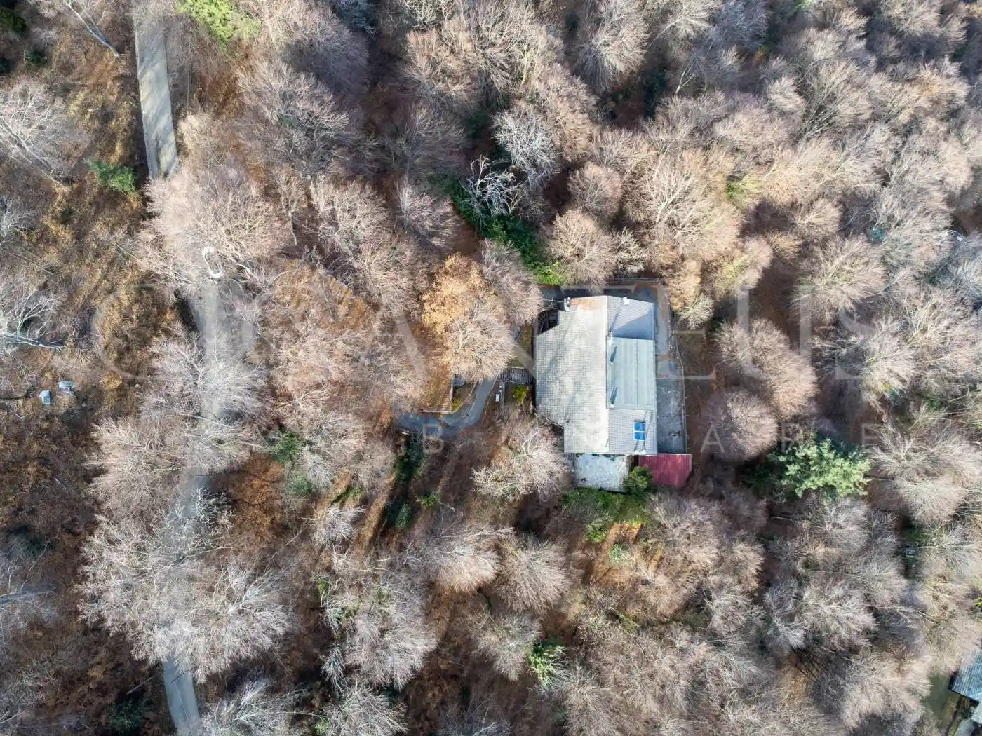 Palazzo - Edificio - foto 5