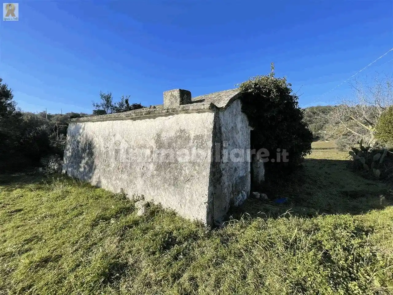 Rustico - Casale in vendita a Cisternino