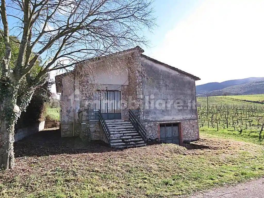 Rustico - Casale - foto 3