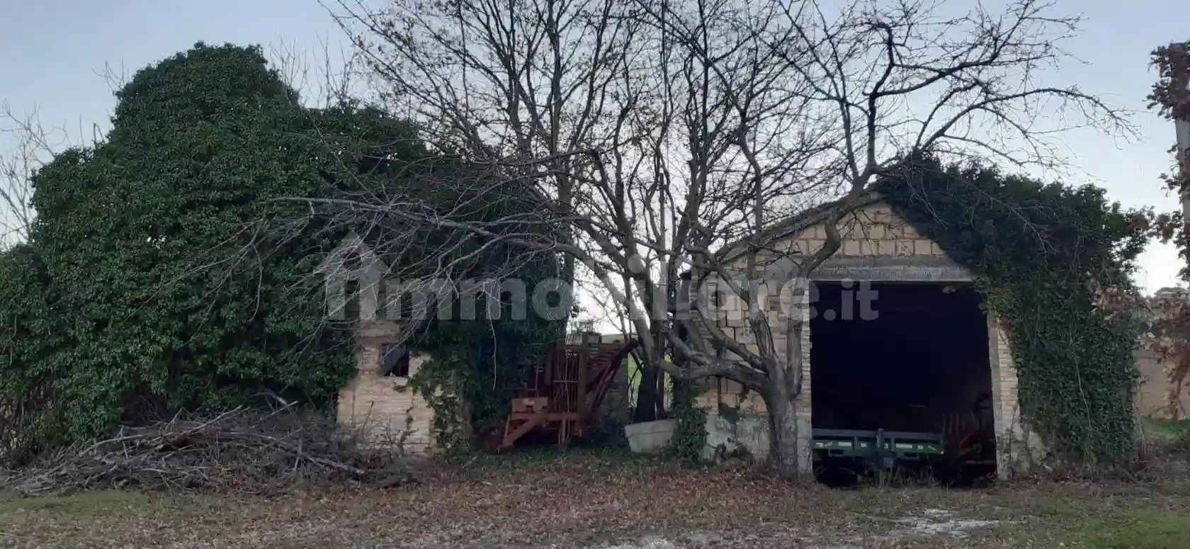 Rustico - Casale - foto 5