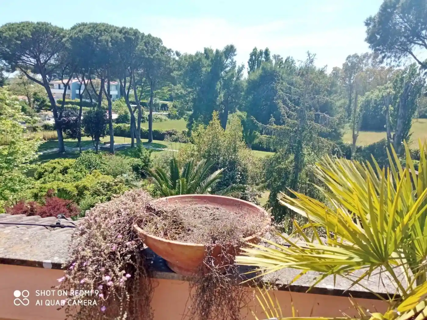 Quadrilocale largo Callifonte, Casal Palocco, Roma - foto 5