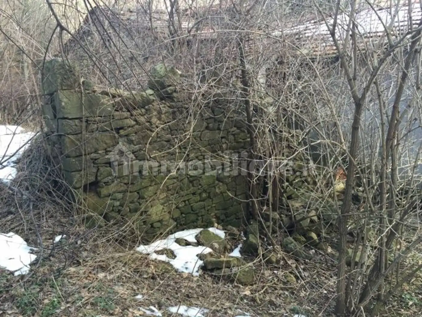 Cascina Il Prato, 11, Abetone Cutigliano - foto 5