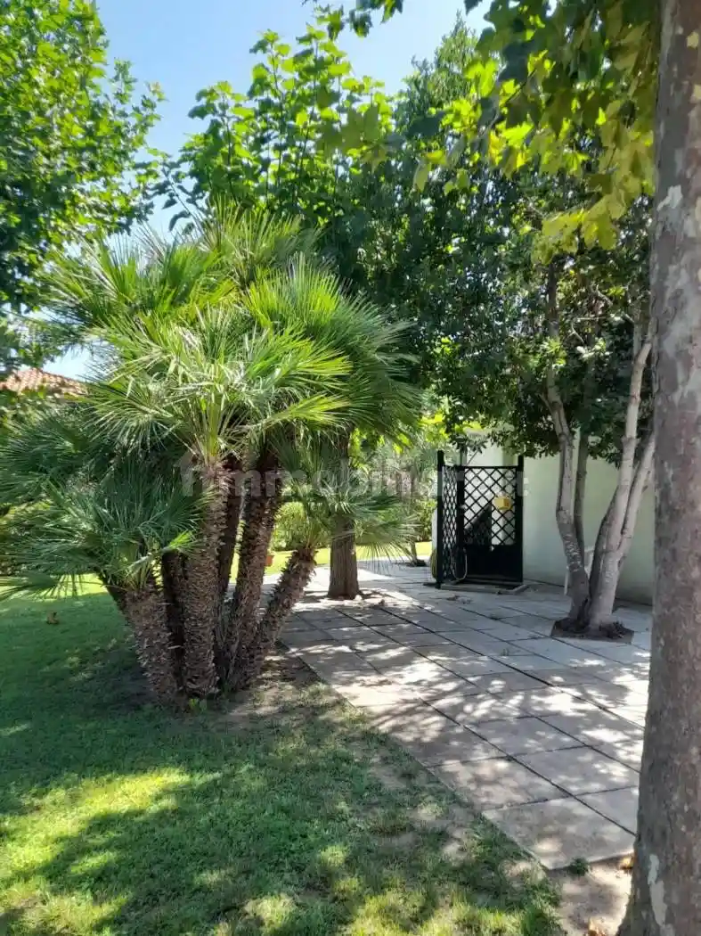 Villa a schiera 4 locali, buono stato, Metaponto, Bernalda - foto 4