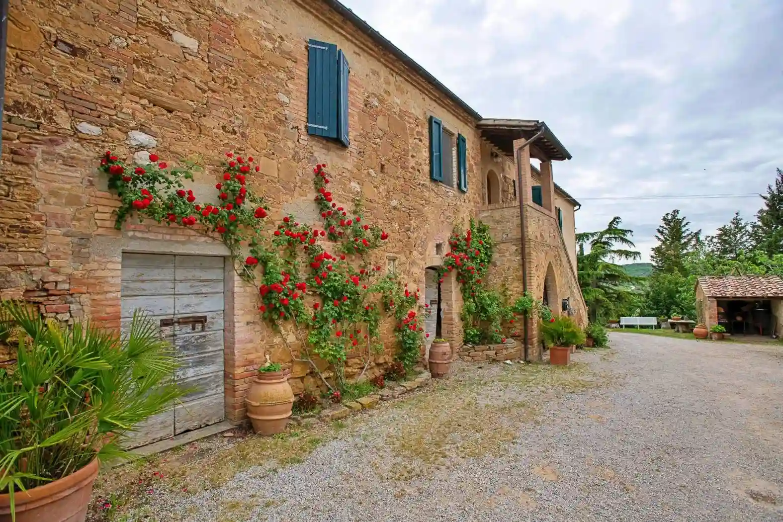 Rustico - Casale - foto 3