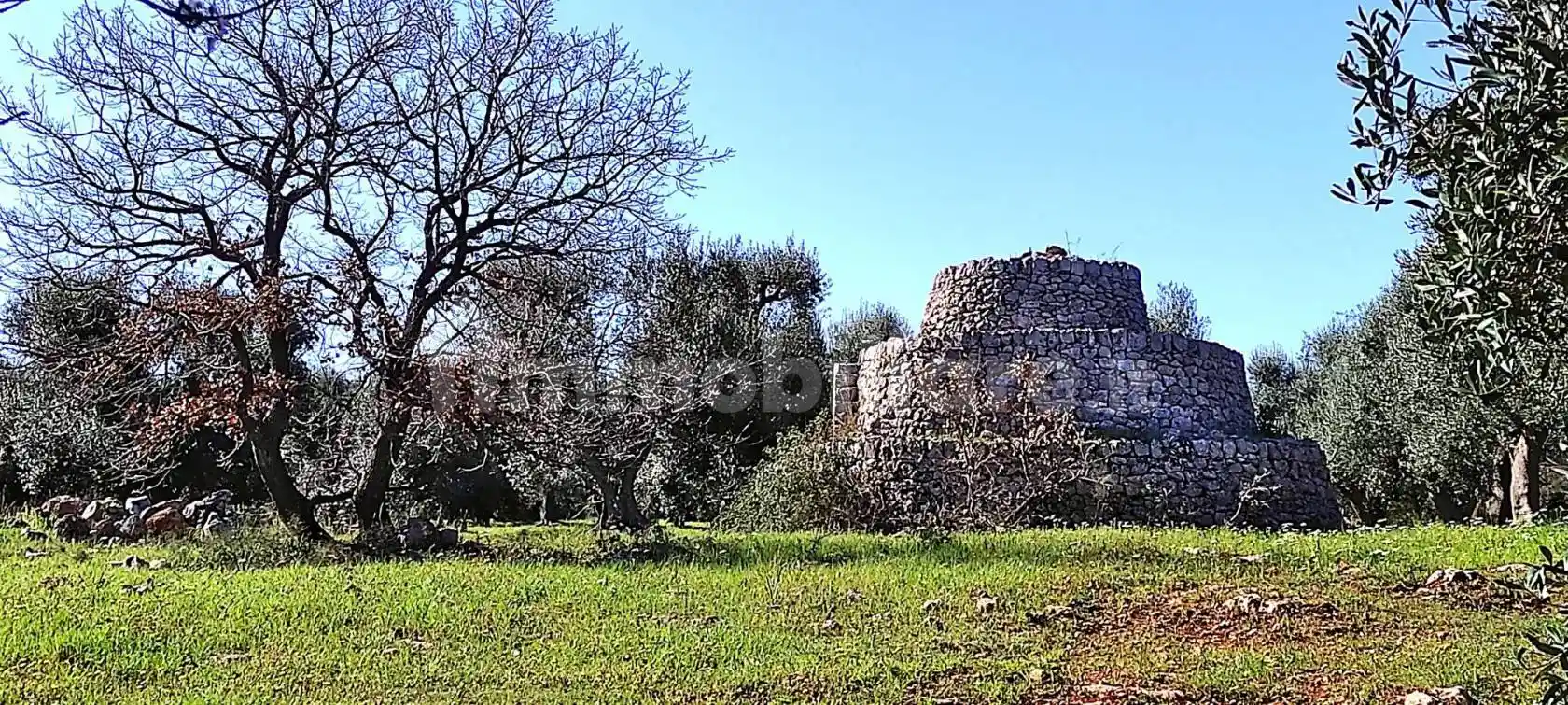 Rustico - Casale in vendita a Carovigno