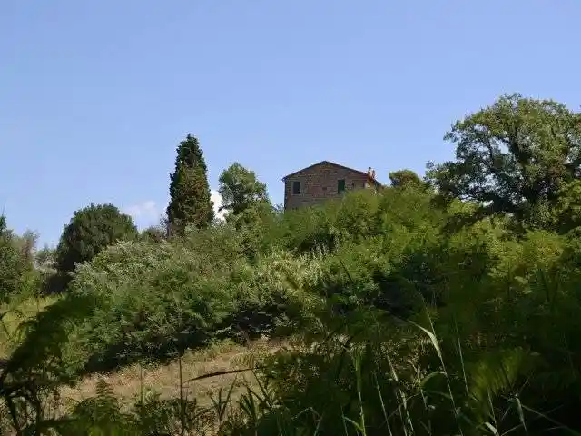 Rustico - Casale in vendita a Ficulle