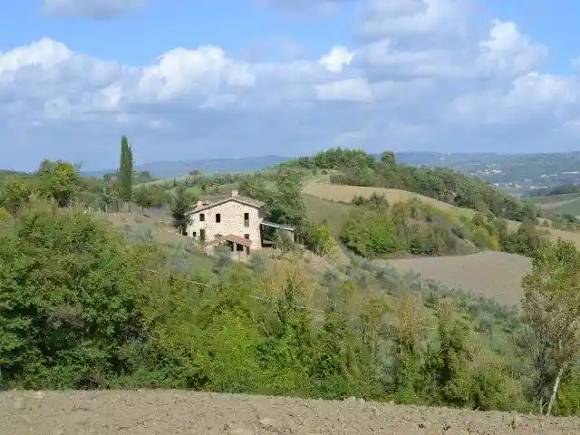 Rustico - Casale in vendita a Ficulle