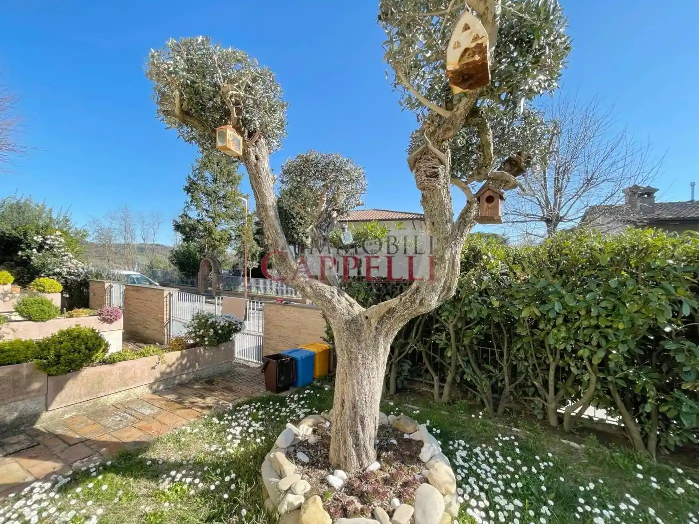 Villa unifamiliare, buono stato, 240 m², Tessello, Cesena - foto 2