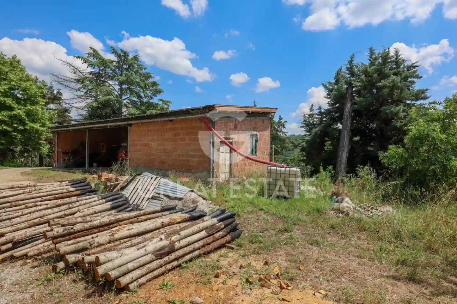 Rustico - Casale - foto 4