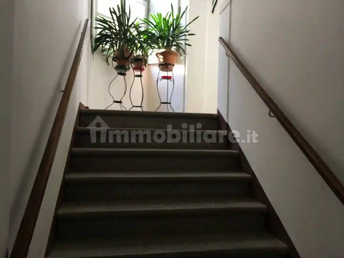 Palazzo - Edificio - foto 5