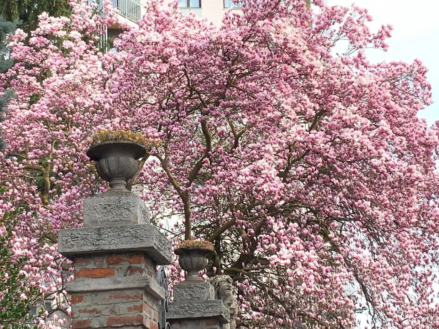 Apartment in vendita a Milan