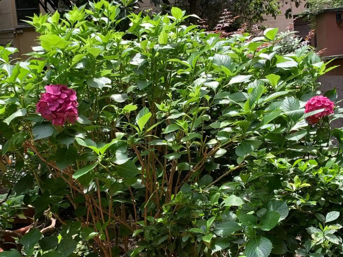 Appartamento buono stato, settimo piano, Borgogna - Largo Augusto, Milano - foto 2