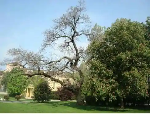 Appartamento buono stato, settimo piano, Borgogna - Largo Augusto, Milano - foto 4