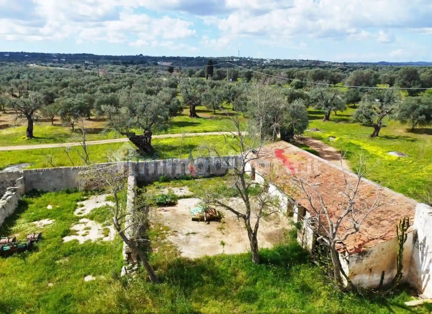 Rustico - Casale - foto 5