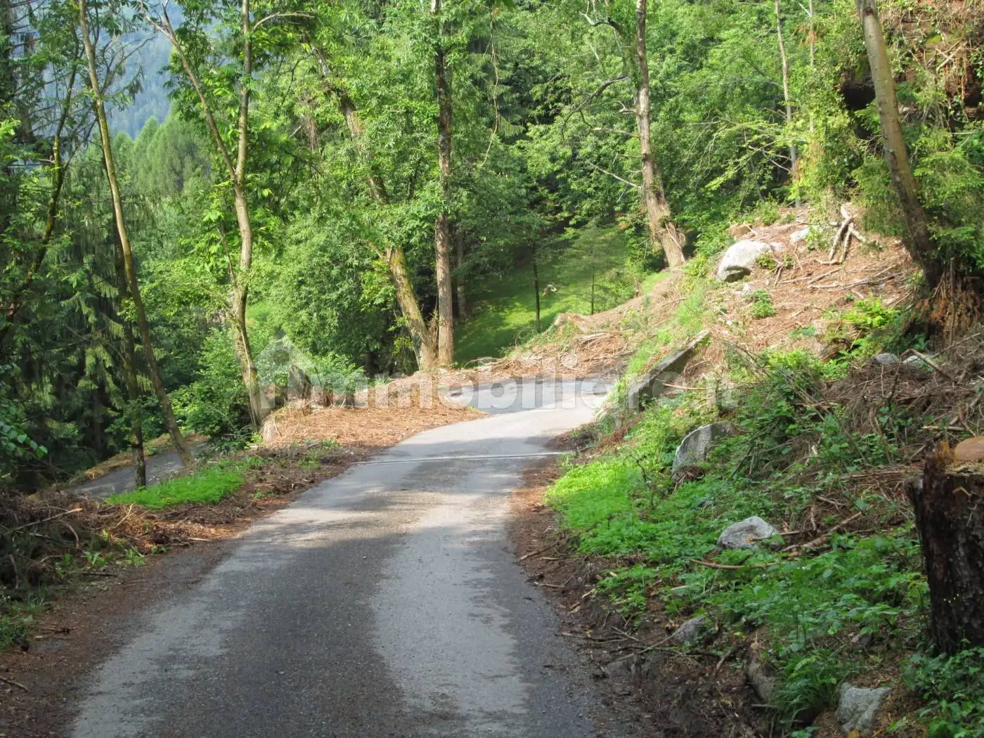 Rustico praso, Valdaone - foto 5