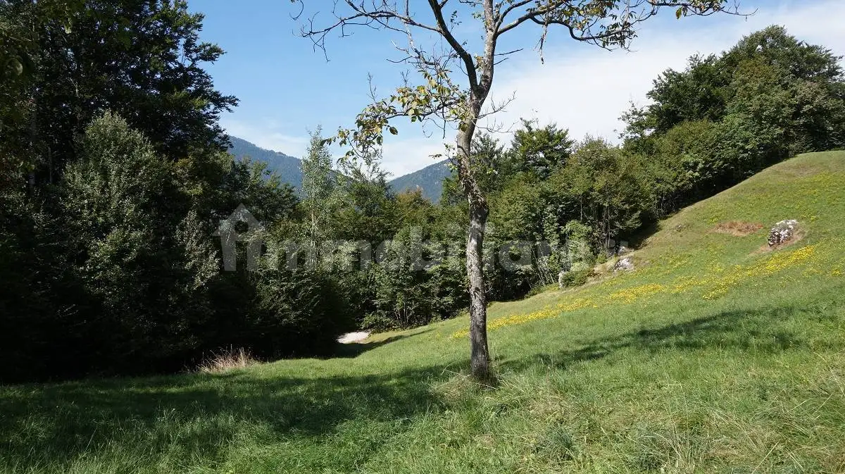 Rustico caino, Borgo Chiese - foto 5