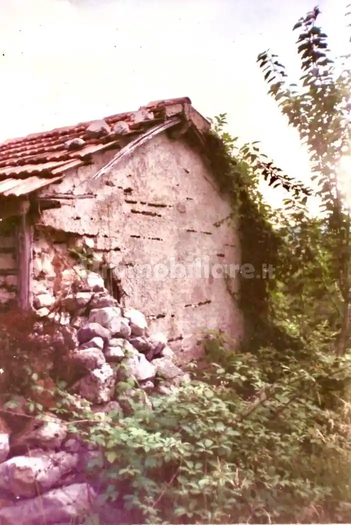 Rustico - Casale in vendita a Bassiano