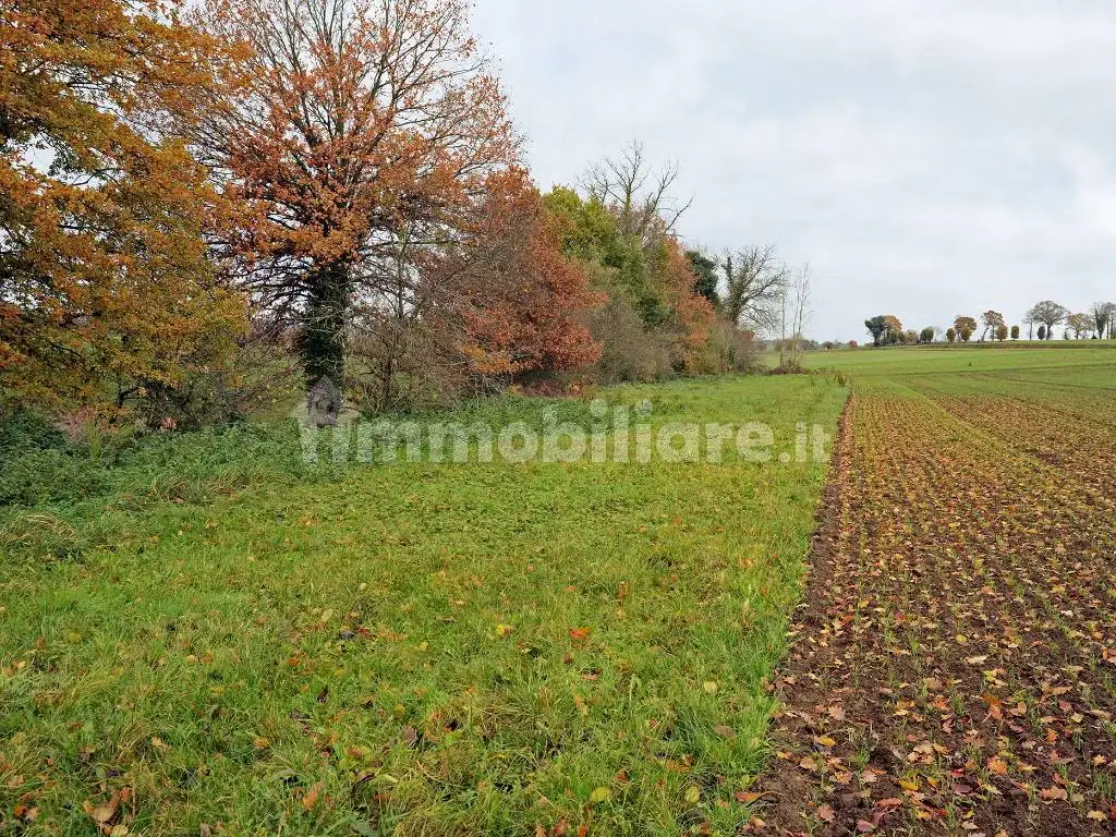 Palazzo - Edificio in vendita a Bologna