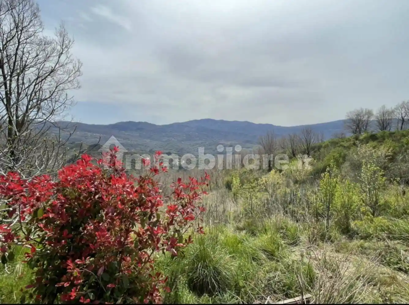 Rustico loc. Balzatelle, Altilia - foto 5