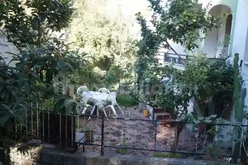 Quadrilocale 135 m², Diamante - foto 3