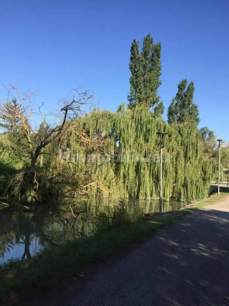 Villa in vendita a Ferrara