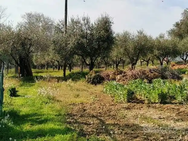 Villa in vendita a Montesilvano