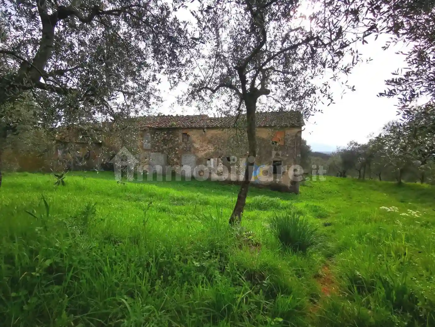 Rustico - Casale - foto 4