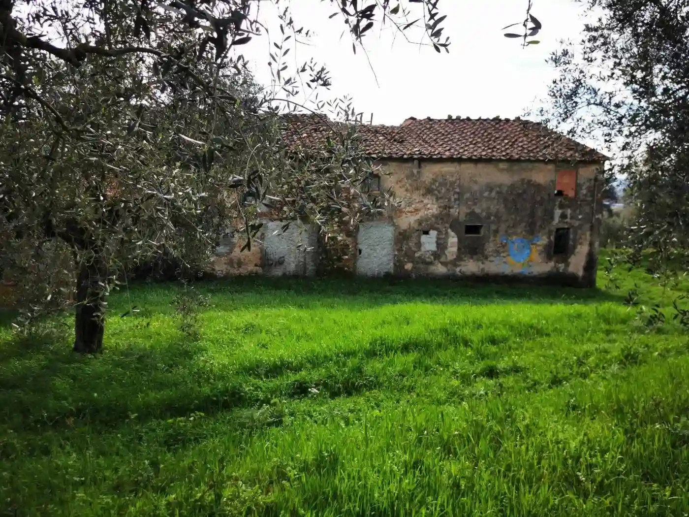 Rustico - Casale - foto 5