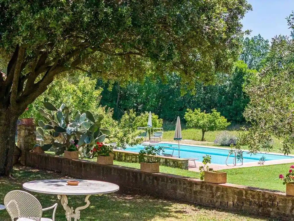 Rustico - Casale - foto 5