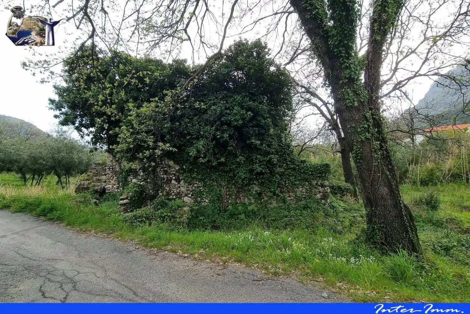 Casale Contrada Trecchinari, Maratea - foto 3