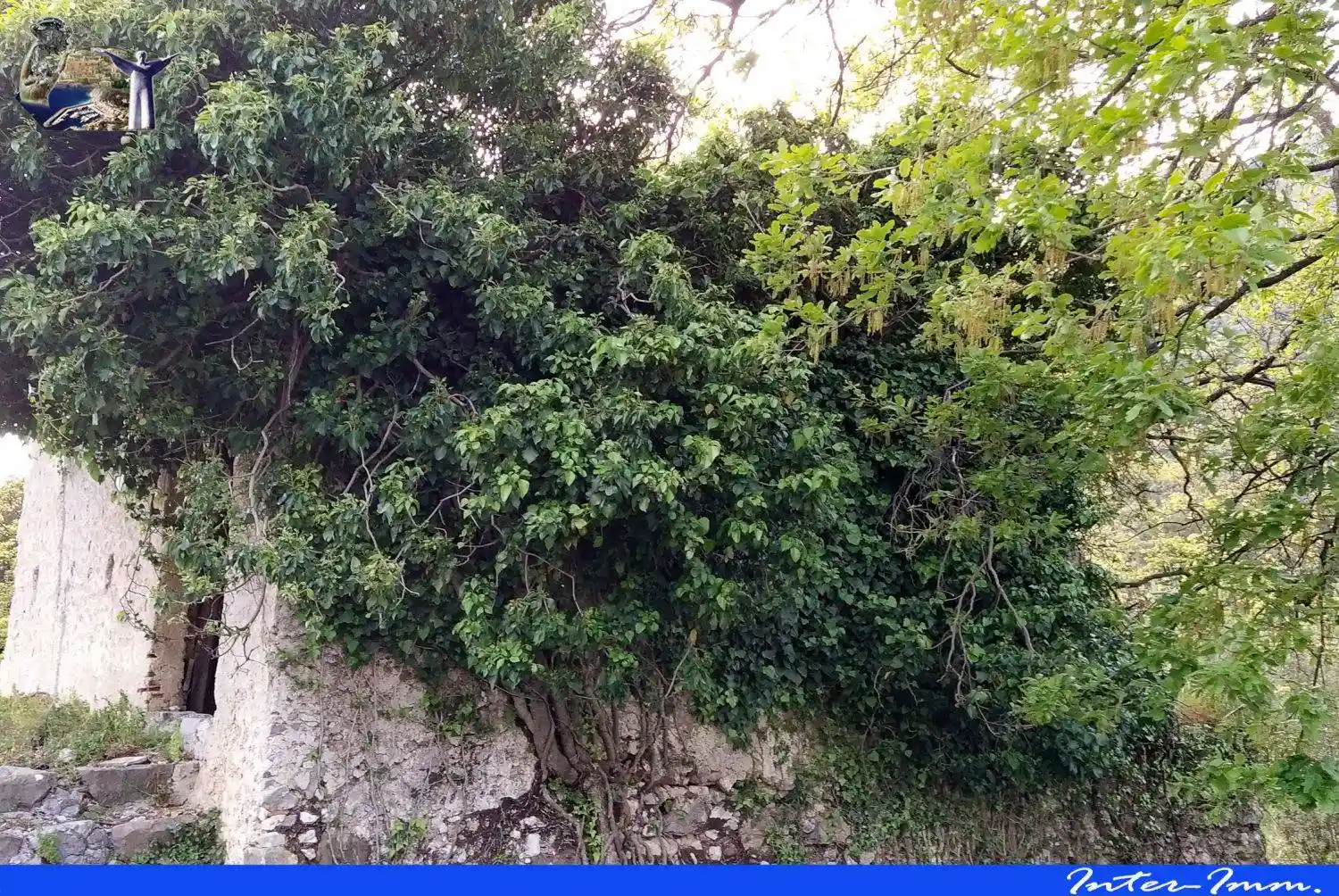 Casale Contrada Trecchinari, Maratea - foto 5