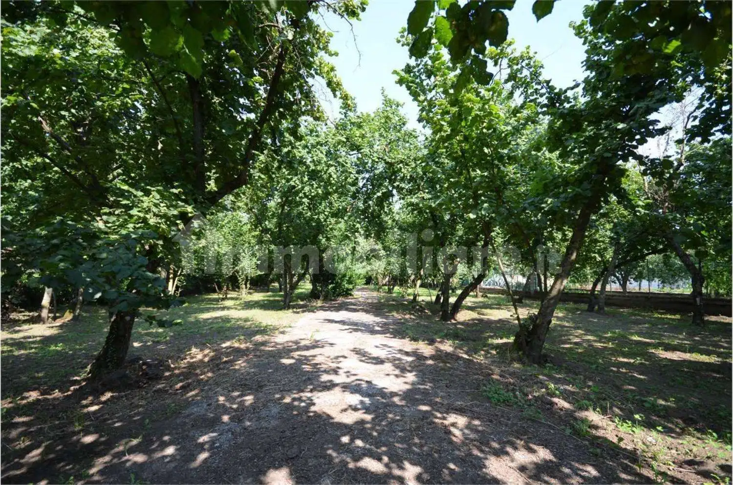 Palazzo - Edificio in vendita a Forino