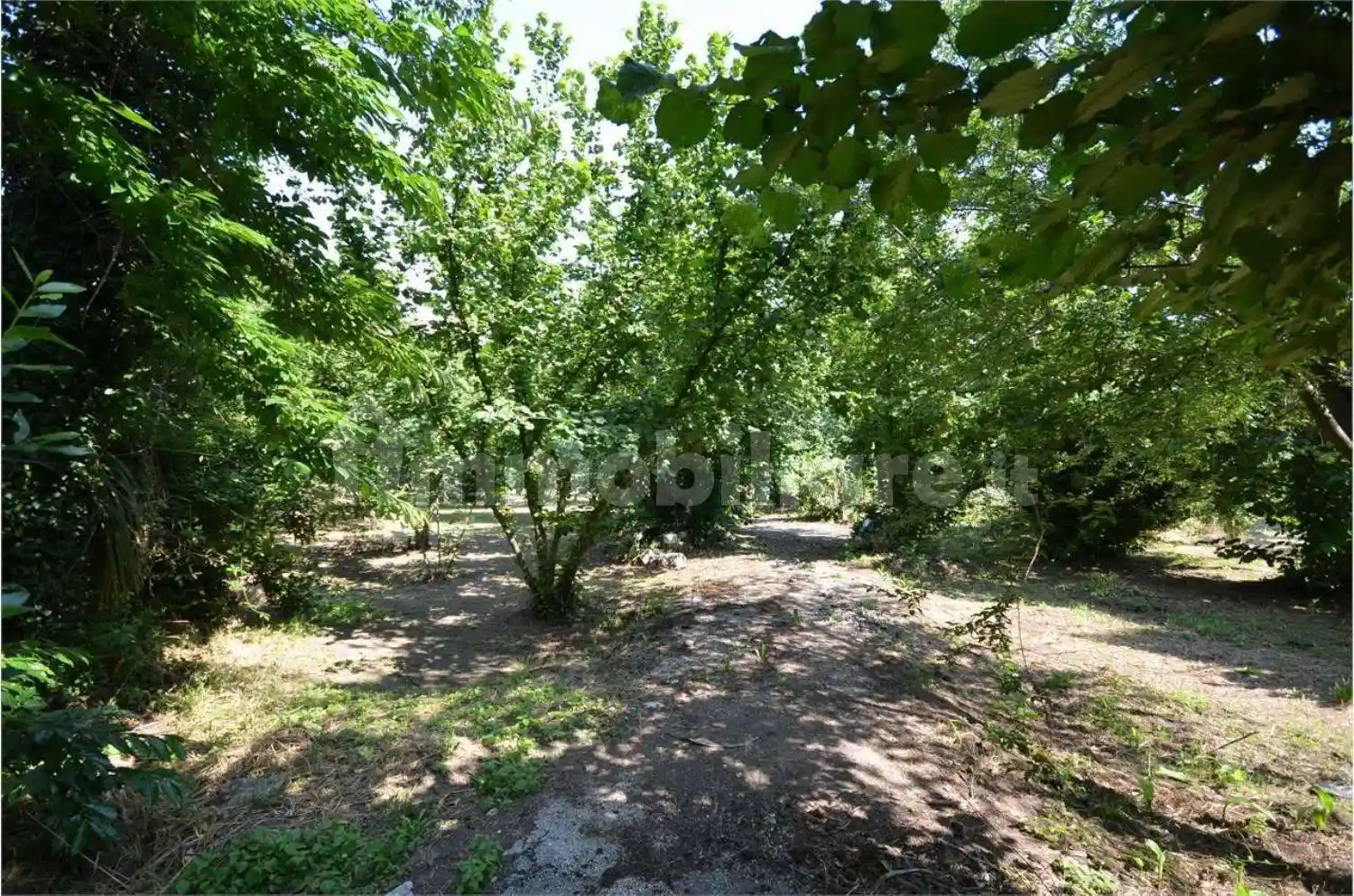 Palazzo - Edificio in Vendita - foto 2