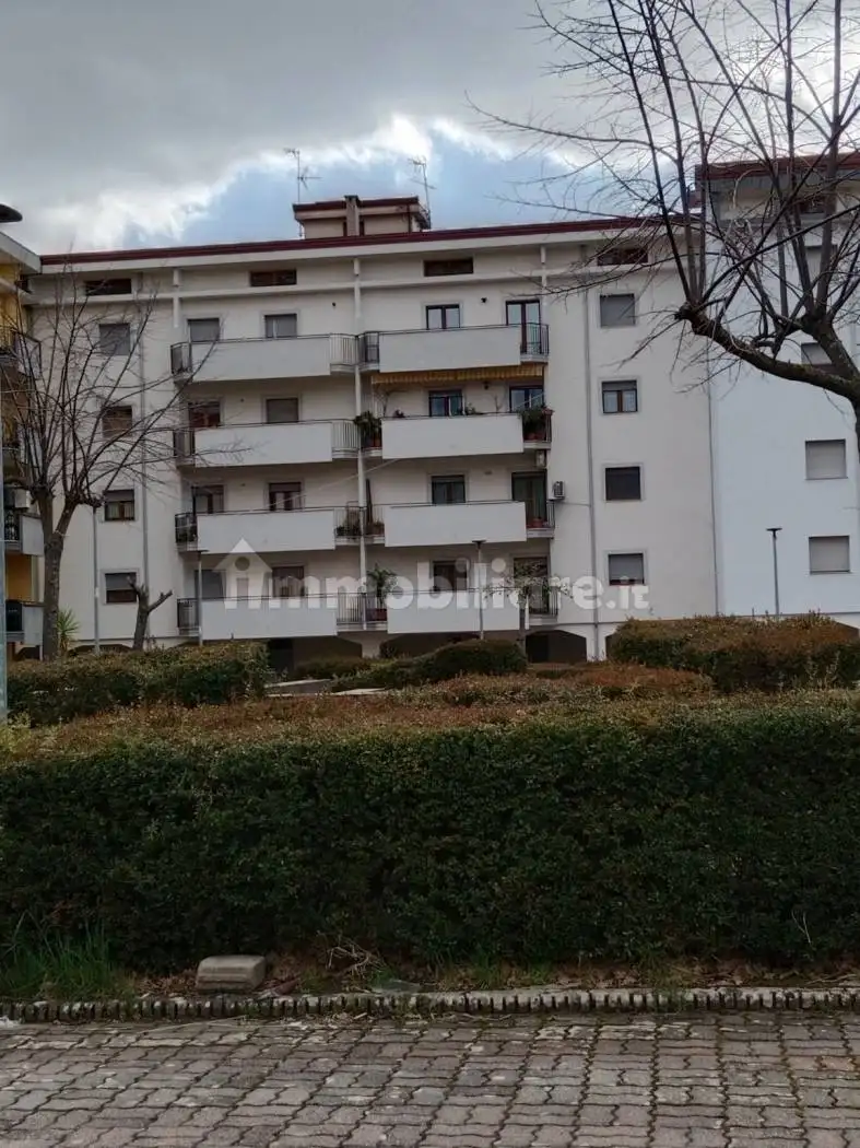 Quadrilocale piazza 11 Settembre, Capitano, Castiglione Cosentino - foto 3